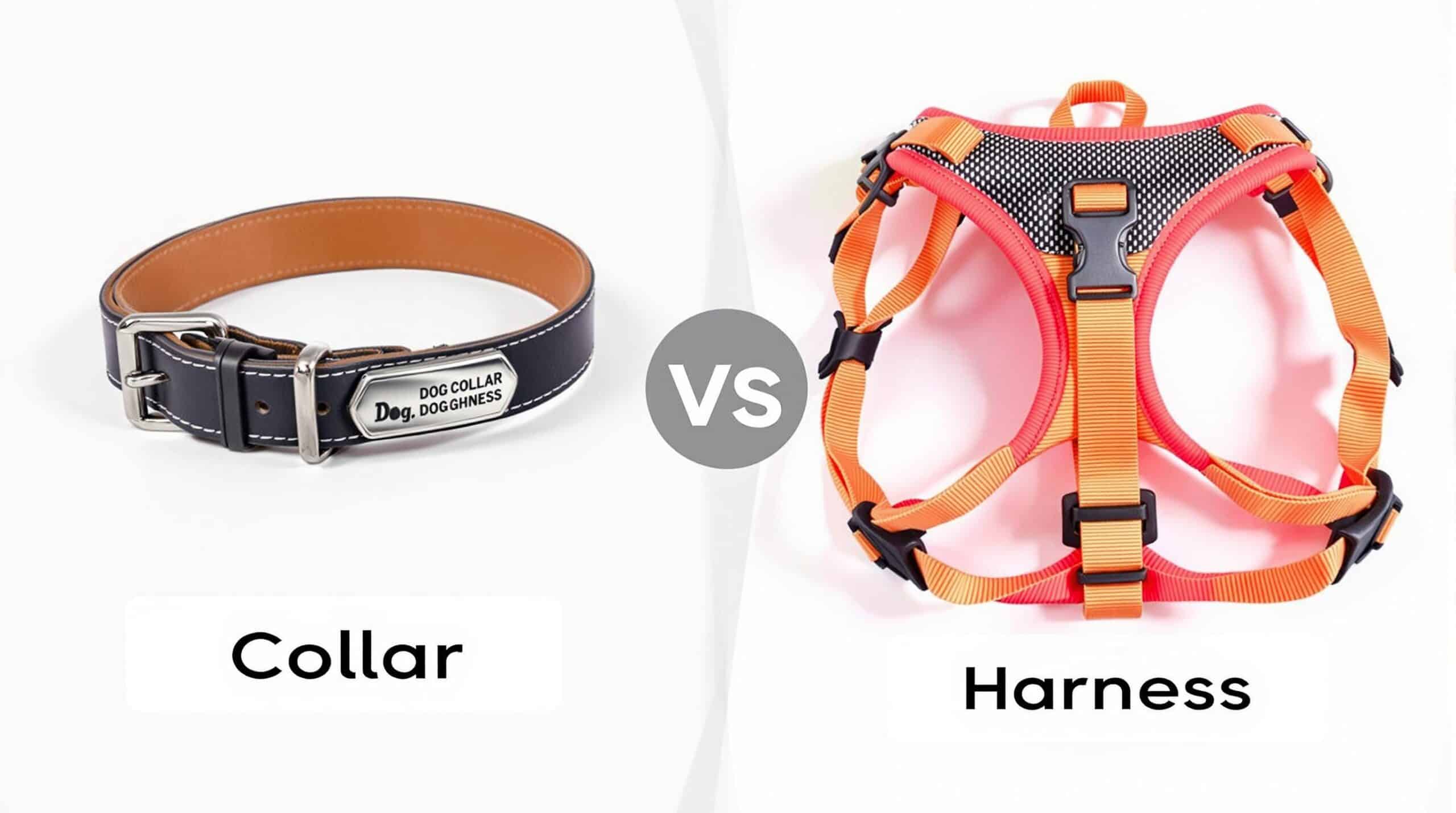 découvrez les harnais tendance pour chiens et apprenez tout ce qu'il faut savoir pour choisir le meilleur pour votre compagnon à quatre pattes. explorez les styles, les matériaux et les avantages des harnais pour garantir confort et sécurité à votre chien tout en suivant les dernières tendances.